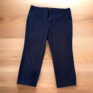 Banana Republic Womens Size 16 Pant (Fits 36x24) Navy Blue Straight Crop Stretch